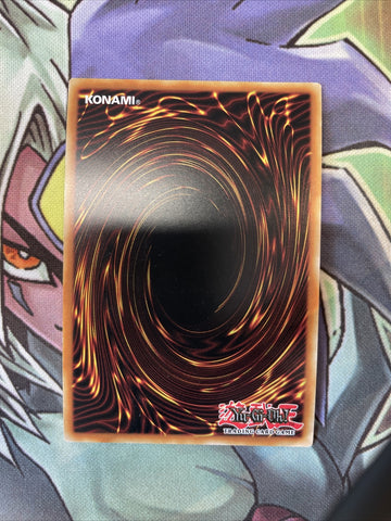 COTD-EN030 Traptrix Mantis Super Rare Unlimited Edition NM Yugioh Card (back)