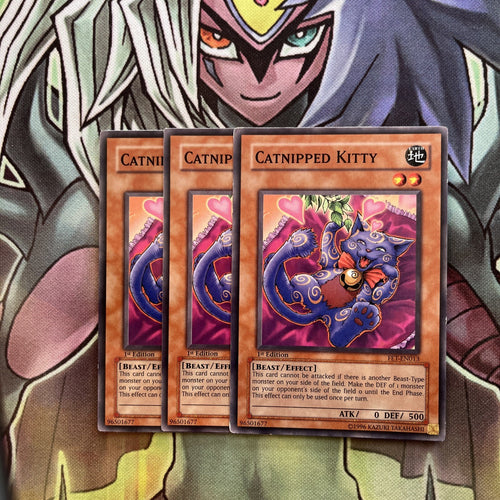 FET-EN013 x3 Catnipped Kitty Common Excellent Condition Yugioh