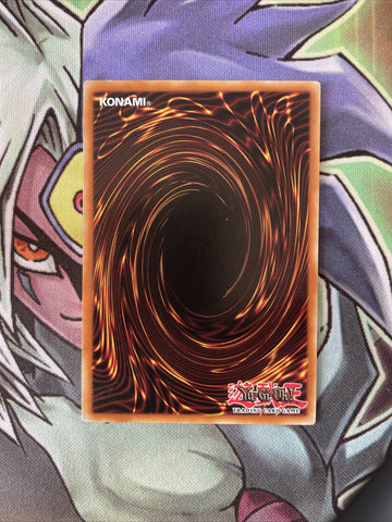 SP17-EN045 D/D/D Duo-Dawn King Kali Yuga Starfoil 1st Edition Near Mint YuGiOh C (back)