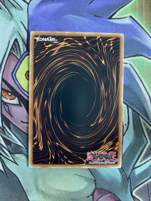 DP2-EN027 Ojama Trio Common Unlimited Edition NM Yugioh Card (back)