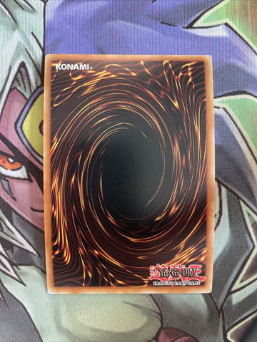 DUOV-EN073 Witchcrafter Madame Verre Ultra ANUBIS SHIFT 1st Edition NM Yugioh (back)