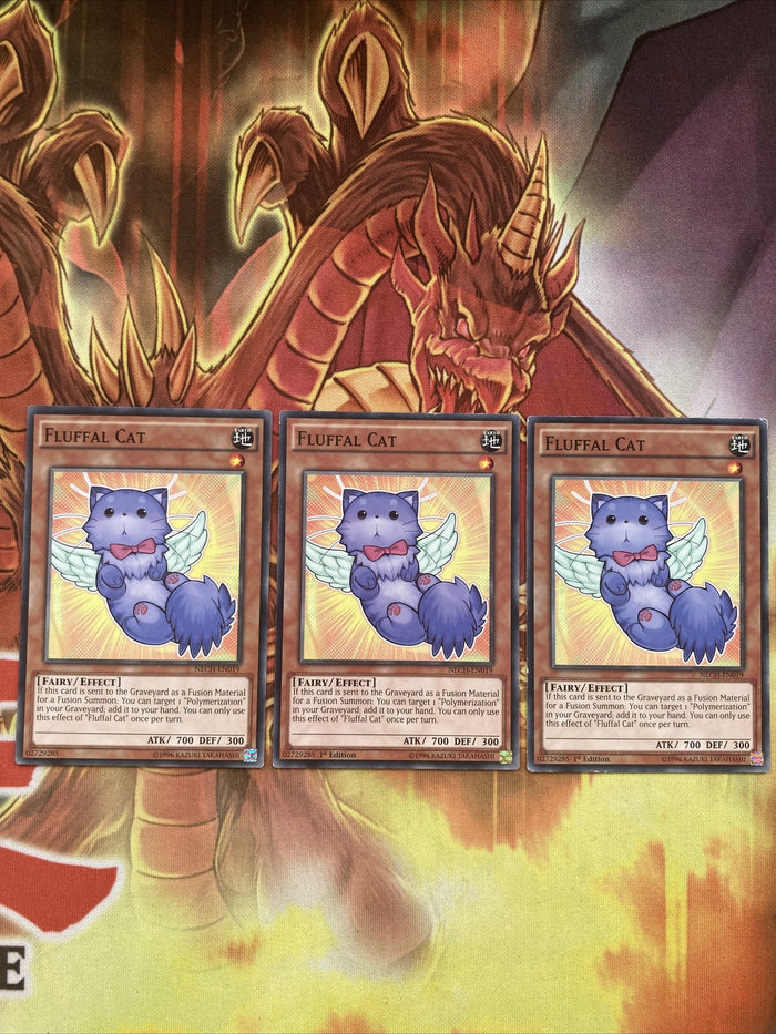 NECH-EN019 x3 Fluffal Cat Common Yugioh Card mixed Edition NM