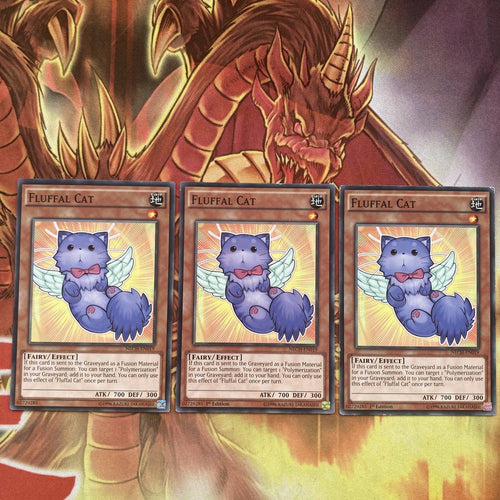 NECH-EN019 x3 Fluffal Cat Common Yugioh Card mixed Edition NM
