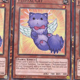 NECH-EN019 x3 Fluffal Cat Common Yugioh Card mixed Edition NM