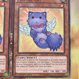 NECH-EN019 x3 Fluffal Cat Common Yugioh Card mixed Edition NM