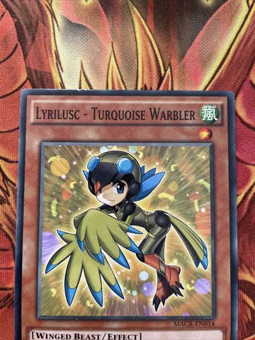 MACR-EN014 Lyrilusc - Turquoise Warbler unl Edition Near Mint/EXC YuGiOh (back)