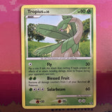 Pokemon Card Tropius Rising Rivals Uncommon 52/111 Light Play
