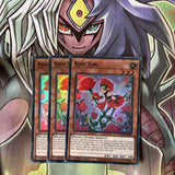 ETCO-EN081 x3 Rose Girl Super Rare Excellent Condition Yugioh