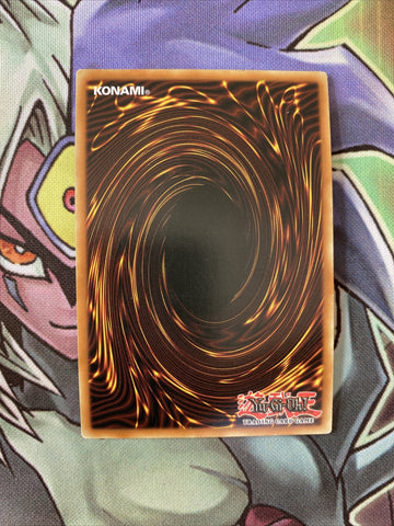 GLD2-EN026 Raiza The Storm Monarch Gold Rare Limited Edition NM Yugioh Card (back)
