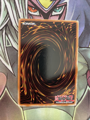 DR2-EN202 Spell Economics Rare Unl Edition NM Yugioh Card (back)