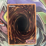 FOTB-EN065 Plague Wolf Secret Rare Unlimited Edition NM Yugioh Card