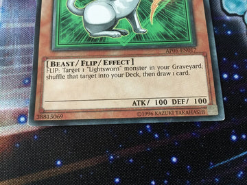 AP05-EN017 Yu-Gi-Oh Rinyan, Lightsworn Rogue (EX) YuGiOh (back)