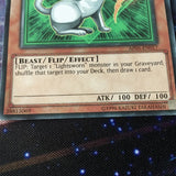 AP05-EN017 Yu-Gi-Oh Rinyan, Lightsworn Rogue (EX) YuGiOh