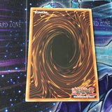 AP05-EN017 Yu-Gi-Oh Rinyan, Lightsworn Rogue (EX) YuGiOh