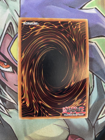 SHVA-EN045 Mist Valley Apex Avian Super Rare 1st Edition NM Yugioh Card (back)