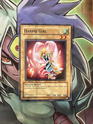 Smirking Gnome