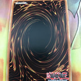 STP1-EN016 GRAVEKEEPER'S ORACLE SPEED DUEL CARD FRESHLY PULLED FROM PACK Yugioh