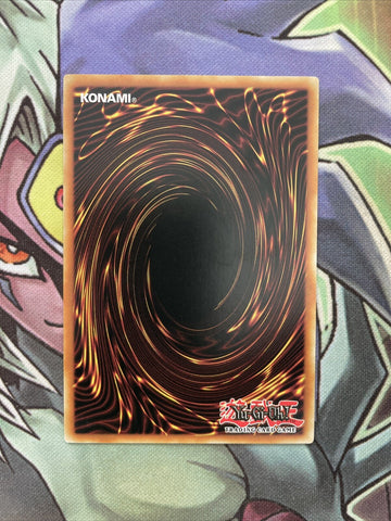 MACR-EN019 Supreme King Dragon Darkwurm Common 1st Edition NM Yugioh (back)