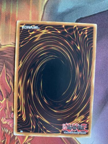 AP01-EN021 Closed Forest Common UNL Edition NM Yugioh Card (back)