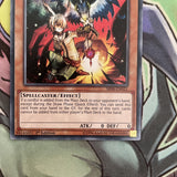 SR08-EN021 Droll & Lock Bird Common 1st Edition NM Yugioh Card