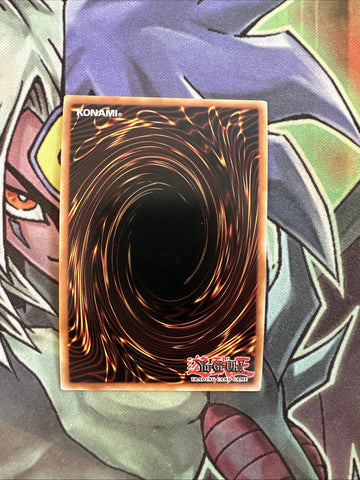 BLHR-EN034 Battlewasp - Twinbow The Attacker Ultra 1st Edition NM Yugioh Card (back)