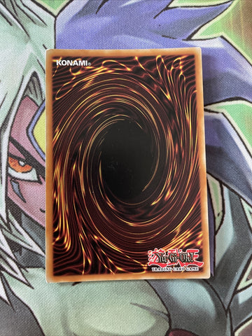 MP14-EN165 Meliae Of The Trees Secret Rare 1st Edition NM Yugioh Card (back)