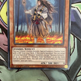 SR07-EN018 Shiranui Solitaire Common 1st Edition NM Yugioh Card