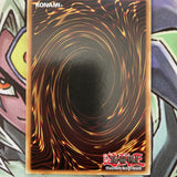 MRD-062 Blackland Fire Dragon Common UNL Edition Near Mint Condition Yugioh Card