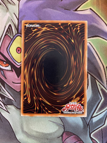 DP00-KR002 Alpha The Magna Warrior KOREAN  RARE UNL Edition NM Yugioh Card (back)