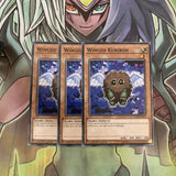 LED6-EN017 x3 Winged Kuriboh Common Excellent Condition Yugioh