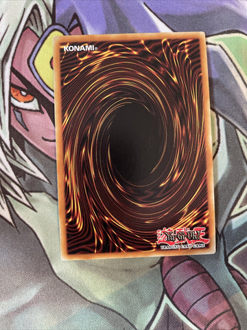 YS13-EN041 Number 39: Utopia Super Rare 1st Edition NM Yugioh Card (back)
