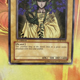 LOB-E028 Green Phantom King Common 1st Edition YuGiOh played