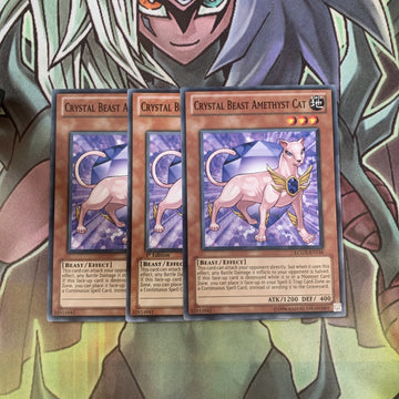 LCGX-EN156 x3 Crystal Beast Amethyst Cat Common Excellent Condition Yugioh