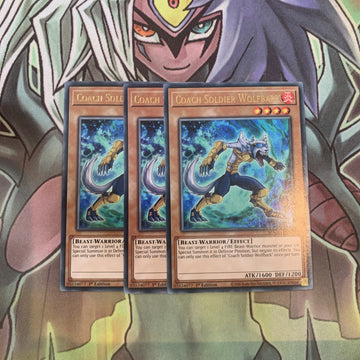 MAGO-EN120 x3 Coach Soldier Wolfbark Rare Excellent Condition Yugioh