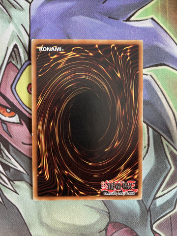 DREV-EN072 Amazoness Willpower Rare 1st Edition NM Yugioh Card (back)