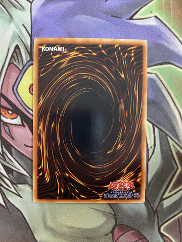 SJ2-029 Foolish Burial Ultra Rare Unlimited Edition Japanese NM Yugioh Card (back)