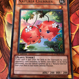 STBL EN030 Naturia Cherries Ultra Rare 1st Edition Yugioh