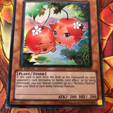 STBL EN030 Naturia Cherries Ultra Rare 1st Edition Yugioh