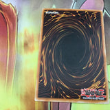 SOI-EN014 D.D. Guide Common Yugioh Card