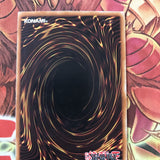 DP03-EN005 Yugioh - Neo-Spacian Aqua Dolphin - Rare
