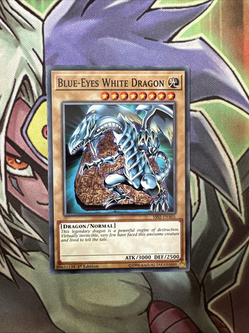 SS02-ENA01 Blue-Eyes White Dragon Common 1st Edition NM Yugioh Card