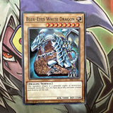 SS02-ENA01 Blue-Eyes White Dragon Common 1st Edition NM Yugioh Card