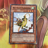 DT01-EN013 YUGIOH Mist Valley Thunderbird Duel Terminal Normal Parallel Rare