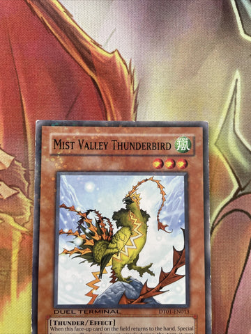 DT01-EN013 YUGIOH Mist Valley Thunderbird Duel Terminal Normal Parallel Rare (back)