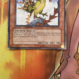 DT01-EN013 YUGIOH Mist Valley Thunderbird Duel Terminal Normal Parallel Rare