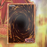 DT01-EN013 YUGIOH Mist Valley Thunderbird Duel Terminal Normal Parallel Rare