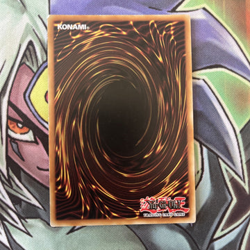 THSF-EN024 Ritual Beast Tamer Wen Secret Rare LP Varying Editions Yugioh (back)