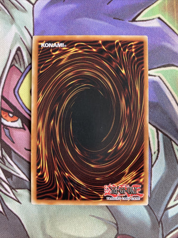 SP18-EN040 Trickstar Light Stage Common 1st Edition NM Yugioh Card (back)