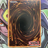BP01-EN129 King Tiger Wanghu Starfoil Rare 1st Edition NM Condition Yugiohh