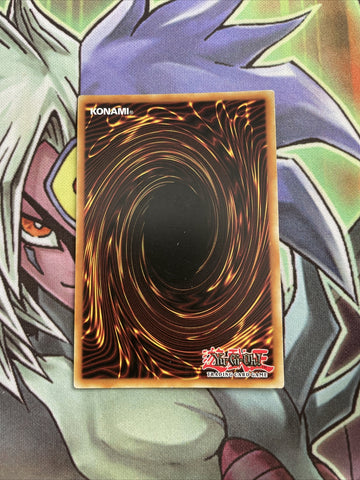 PGLD-EN014 Dynatherium Gold Secret Rare UNL Edition NM Yugioh Card (back)